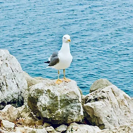Bay View 3px - Checkinhome Sesimbra